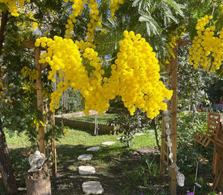  Maison � vendre 10 pi�ces 275 m�