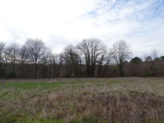  Terrain � vendre 2503 m�