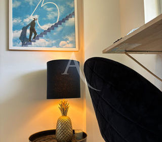  Appartement � vendre 1 pi�ce 19 m�