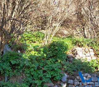  Terrain � vendre 416 m�