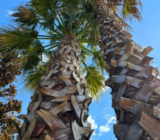  Maison � vendre 5 pi�ces 174 m�