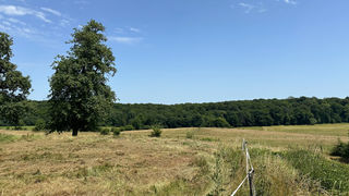  Maison � vendre 5 pi�ces 124 m�