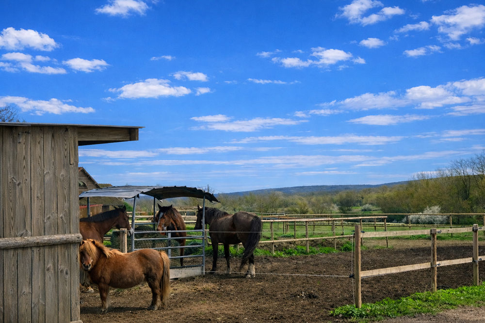 � vendre  Maison Sennecey-le-Grand (71240)