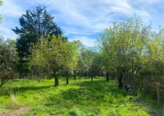  Terrain � vendre 1073 m�