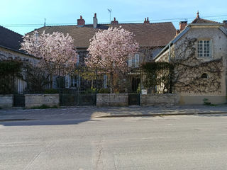  Villa � vendre 14 pi�ces 390 m�