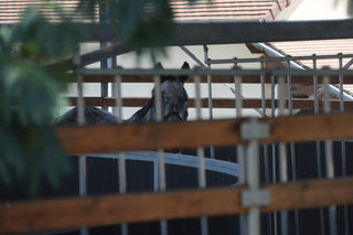  Maison � vendre 6 pi�ces 229 m�