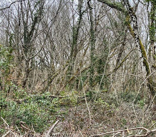  Terrain � vendre 5914 m�