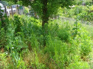  Terrain � vendre 288 m�