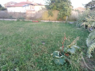  Immeuble � vendre 1 pi�ce 60 m�