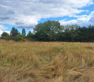  Terrain � vendre 2466 m�