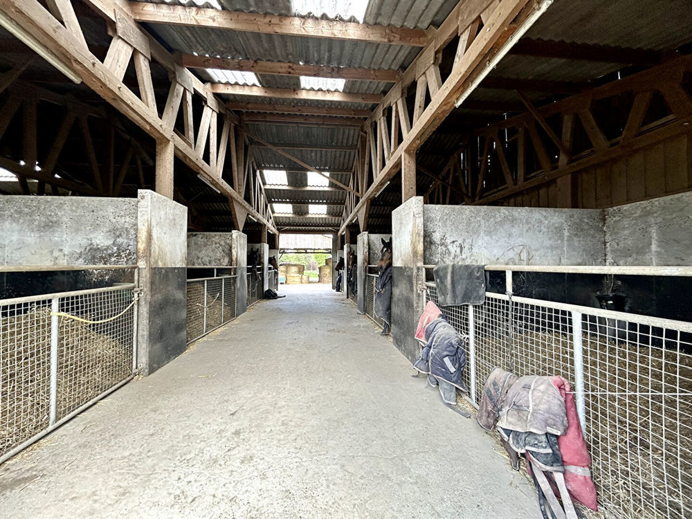 � vendre  Villa Ch�teau-Gontier (53200)