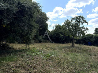  Terrain � vendre 479 m�