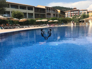  Appartement � vendre 2 pi�ces 32 m�