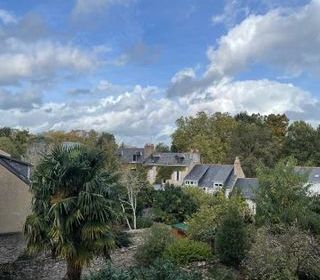  Appartement � louer 1 pi�ce 21 m�