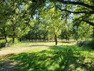  Terrain � vendre 7282 m�