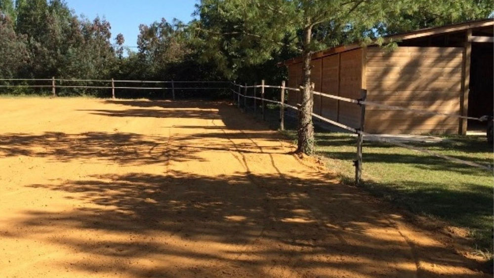 � vendre  Maison Nogaro (32110)