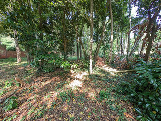  Terrain � vendre 1014 m�