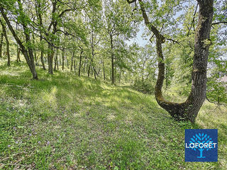  Maison � vendre 11 pi�ces 261 m�