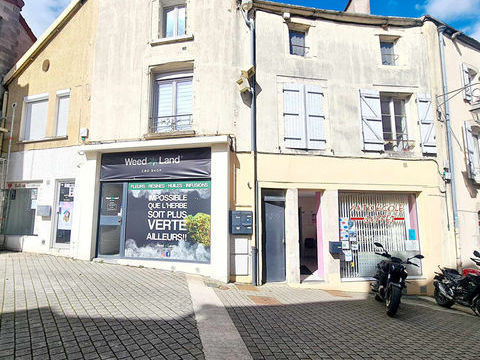   Immeuble Chaumont au coeur du centre ville Maison - 10 pi�ce(s) - 280 m�