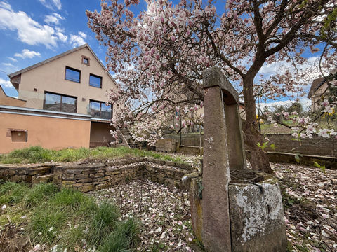   Maison  avec d�pendances  -  havre de paix et de charme Maison - 7 pi�ce(s) - 120 m�