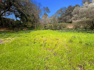  Terrain � vendre 900 m�