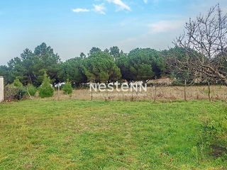  Terrain � vendre 563 m�