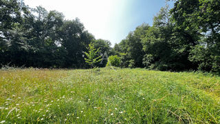  Terrain � vendre 5267 m�