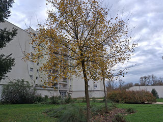  Appartement � vendre 4 pi�ces 85 m�