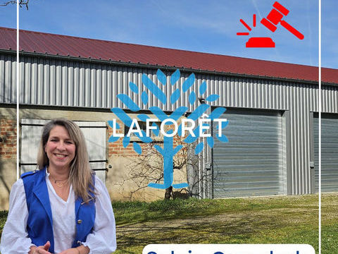 Entrep&ocirc;t de 250 m2. 219000 31340 Villemur sur tarn