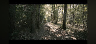  Terrain � vendre 243800 m�