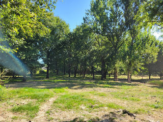  Terrain � vendre 7282 m�