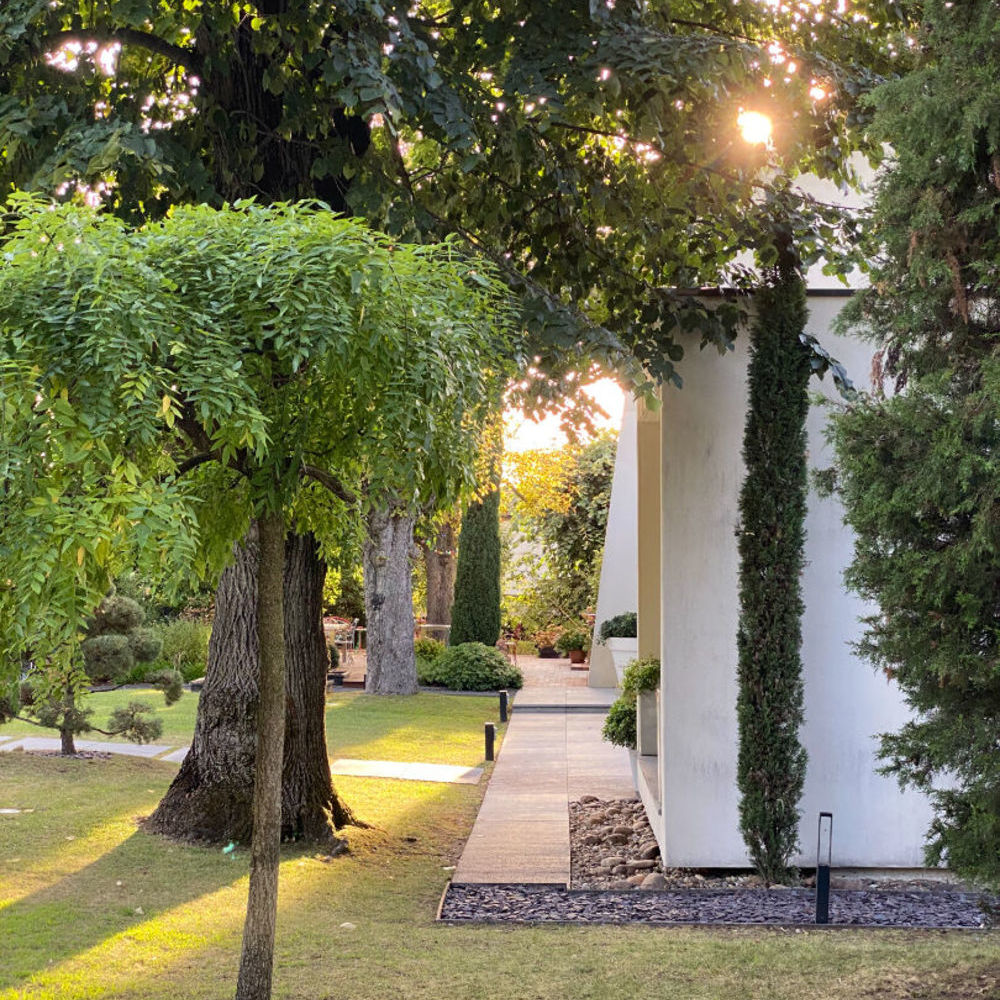 � vendre  Maison Caluire-et-Cuire (69300)