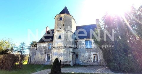   Manoir d'exception des XIe et XVIe si�cles  Monument Historique, Proche Zoo de Beauval et Cheverny Villa - 7 pi�ce(s) - 212 m�