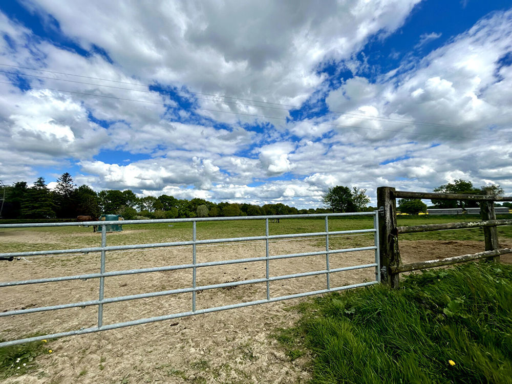 � vendre  Villa Ch�teau-Gontier (53200)