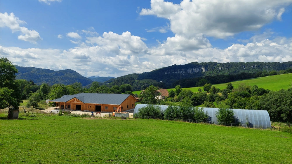 � vendre  Maison Montb�liard (25200)