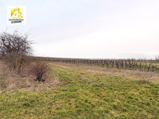  Terrain � vendre 899 m�