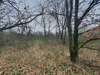  Terrain � vendre 21982 m�