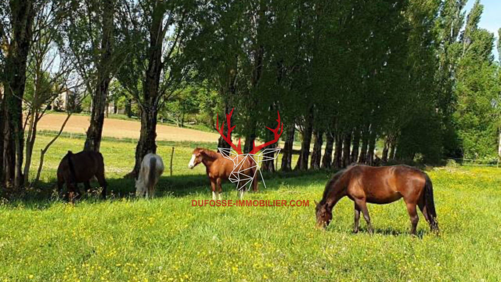 � vendre  Maison Villeneuve-sur-Lot (47300)