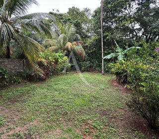  Appartement � vendre 2 pi�ces 52 m�