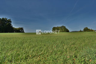  Terrain � vendre 14800 m�