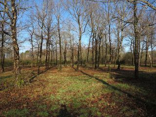  Terrain � vendre 6155 m�