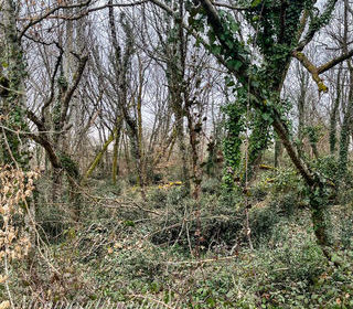  Terrain � vendre 5914 m�