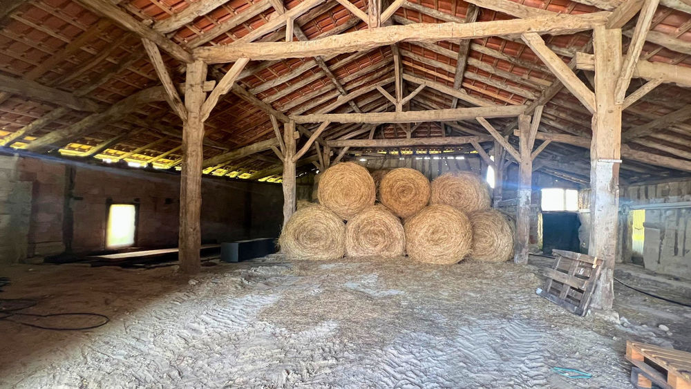 � vendre  Maison Villeneuve-sur-Lot (47300)