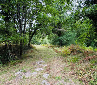  Terrain � vendre 65566 m�