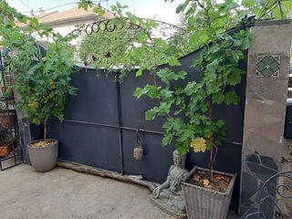  Maison � vendre 7 pi�ces 158 m�