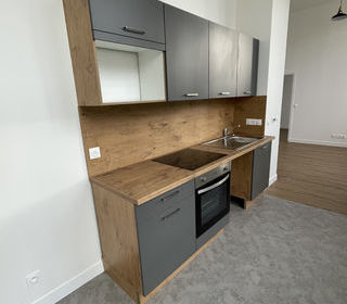  Appartement � louer 3 pi�ces 52 m�