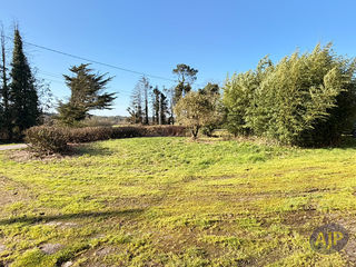  Appartement � louer 3 pi�ces 84 m�