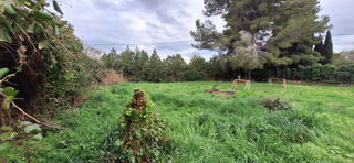  Terrain � vendre 700 m�