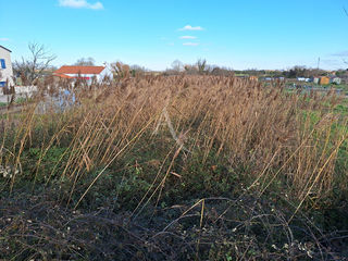  Terrain � vendre 519 m�