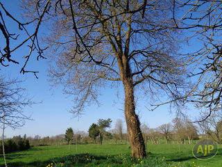  Maison � vendre 6 pi�ces 158 m�